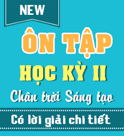 Ôn tập Học kỳ II (CTST)